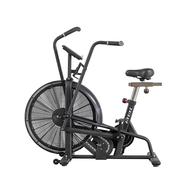Classic Fitness Exercise Assult Air Bike